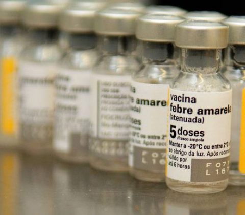 vacinação em idosos contra a febre amarela